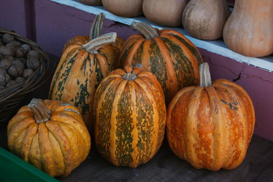 Fiera: Fiera Nazionale della Zucca - la Zucca delle Meraviglie, Piea