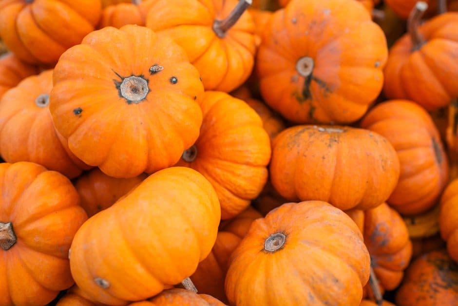 Sagra: Sagra della Zucca, Santena